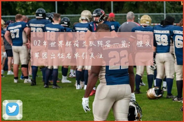 02年世界杯荷兰队阵容一览：橙衣军团出征名单引关注