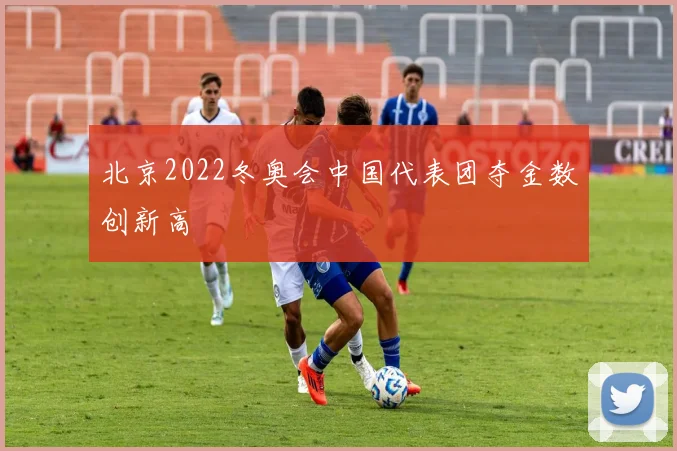 北京2022冬奥会中国代表团夺金数创新高